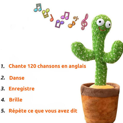 TuniCacti : Cactus Dansant - MyOrderShop